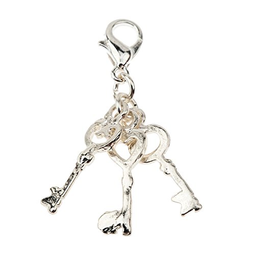Remarkable Fancy Silver Colored Clip On Pendant Charm For Bracelets Bangles With Three Different Keys By VAGA