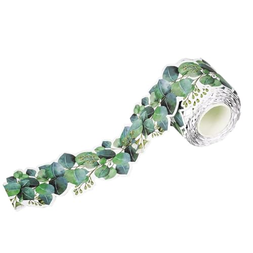 Senda - Tablero de anuncios con borde de eucalipto, borde de eucalipto para aula, decoración de pared de boletines, hojas tropicales, decoración de pared (5 m)