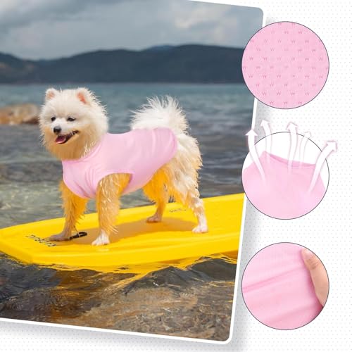 Hunde Shirt Sommer, Kühlwesten für Hunde, Hund UV Schutz T-Shirt, Hundekostüm, Hundehemd Tshirt, Haustier Tshirt für Kleine Mittelgroße Hund Katzen, Haustier Kleidung für Chihuahua, Yorkie (Blau,S)