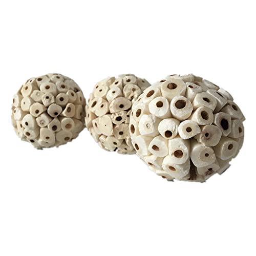 3 s Bird Natural Sola Soft Chew ShGules Foraging Toy per pappagalli Pappagallo aw 6cm/2.36in