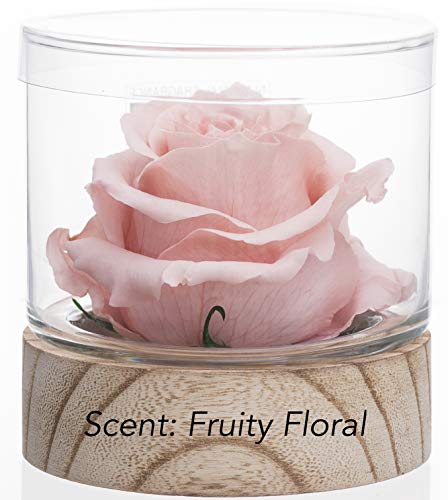 Home Scent 12oz Natural & Months Lasting Fragrance Roses Soothing Aromatherapy Gift Birthday Gifts Gifts for her. Living Room Decor Farmhouse Decor (Pale Pink/Scent Fruity Floral)