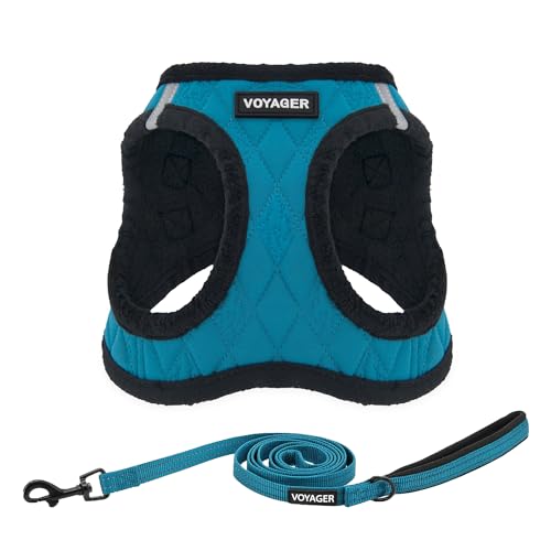 Image of Voyager Step-in Plush Dog Harness - Soft Plush, Step in Vest Harness and Reflective Dog 5 ft Leash Combo with Neoprene Handle for Small and Medium Dogs by Best Pet Supplies -Set (Turquoise Plush), XS