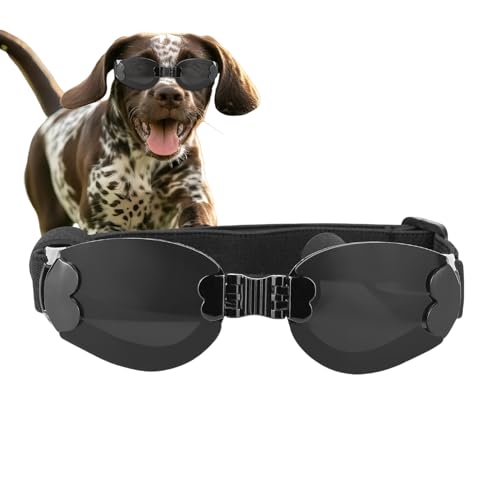 Hundebrille – Haustier-Sonnenbrille für kleine Rassen, Schutz für Hunde, für Reisen, Wandern, blendfreie Sonnenbrille, verstellbarer Riemen, faltbare Haustier-Sonnenbrille für Plateau, Langlauf, Runni