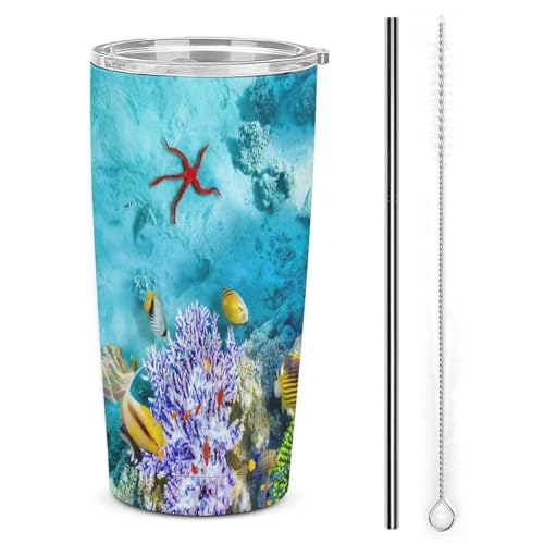 ^u[  X|[c{g R[-Mы-C̐E Xg[&Xg[uVt t^t }OJbv X R[q[Jbv Rrj}O eX e ۉ^ JtF}O ۗ ۉ ^fM d\ }O{g ԗp R[q[p 