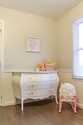 Green Frog Upgraded Shadow Box Frame 16 X 16 Inch with Butterfly Inner Display Board