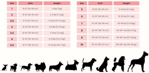 Image of BUDDY BELT PooPurse Premium - Red