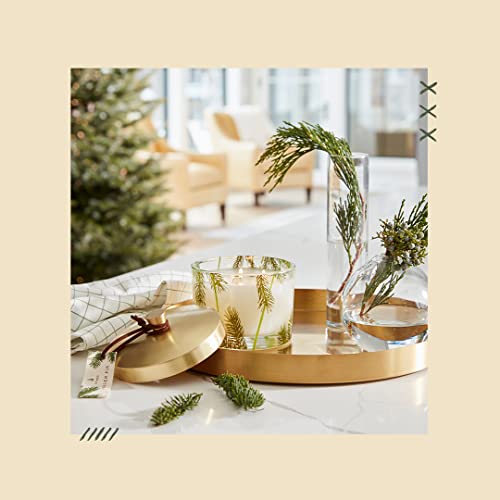 Thymes Heritage Pine Needle Candle - Scented Candle - Luxury Home Fragrance - Home Decor & Bathroom Accessories - Frasier Fir Pine Scent - 11.5 Oz - Frasier Fir