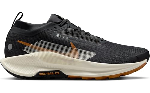 Image of Nike Men's Pegasus Trail 5 Gore-texSneaker