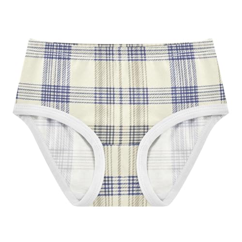 GuoChe Blue White Grid Plaid 1-piecing Hip Design Panties Organic Underwear for Toddler in Sizes 2T,3T, 4T, 5T, 6Y and 8Y