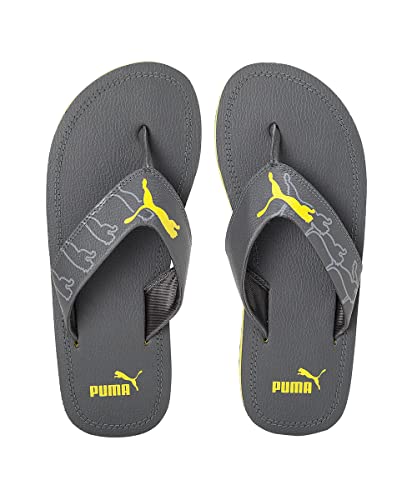 Image of Puma Unisex Adult Luke V1 Flip flop
