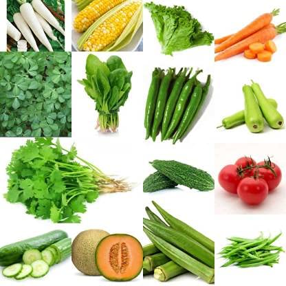 Crapulous 15 Varieties of Vegetable & Fruit Seeds (Cucumber,Muskmelon,Chilli,Lettuce,Bottle Gaurd,French Beans,Radish White,Fenugreek,Bitter Gaurd,Tomato,Carrot,Corn,Lady Finger,Spinach,Coriander Seed (B09BJHNP59) Amazon Price History, Amazon Price Tracker