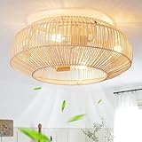 20'' Boho Rattan Ceiling Fan with Light, Coastal Caged Ceiling Fans with Lights and Remote Control, Enclosed Hidden Flush Mount with Reversible 6 Speeds for Living Room Bedroom Nursery