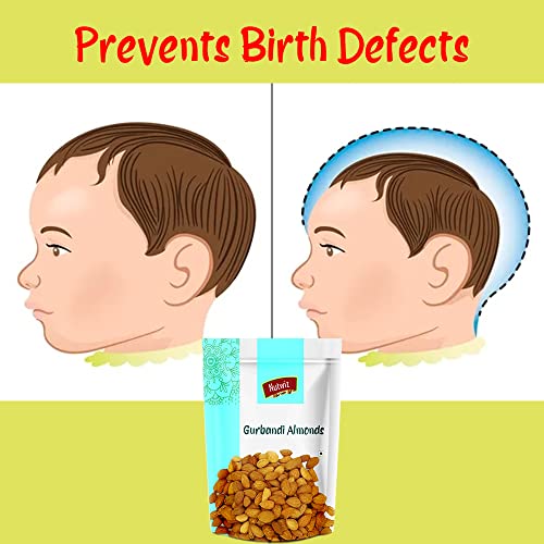 Image of Nutwiz Gurbandi Almonds 750 Grams (250 Grams X 3) with Rich Flavor, High Antioxidant Content, and Brain-Boosting Nutrition for Daily Vitality and Wellness |Packed with Energy to Support Kids' Learning, Adults' Productivity, and Elders' Strength