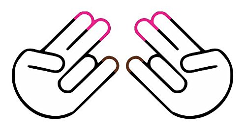 JS Artworks Shocker 2 in Pink 1 in Stink Vinyl Sticker Decal