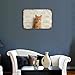 When Visiting My House Please Remember Metal Tin Sign 8x12 Inch Vintage Orange Tabby Cat Funny House Rules Wall Decor Plaque for Home Living Room