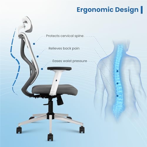 Vergo Transform Prime Ergonomic High Back Mesh Office Chair | Adjustable Lumbar, Headrest, 2D Armrests, Multi Tilt Lock Recline Mechanism, Metal... - Image 3