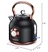 NESSGRAIM Retro Electric Kettle, 1.7L Stainless Steel Tea Kettle with Large Temperature Gauge, 1500W Fast Heating Hot Water Boiler with LED Indicator, Auto Shut-off & Boil-Dry Protection-Reteo Black
