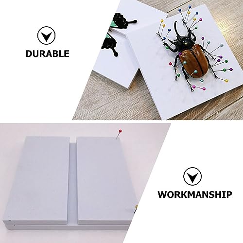 Image of ULTECHNOVO PVC Specimen Display Board for Science Education Insect Collection and Experiment Teaching Tool Portable and Easy to Store Ideal for Classroom Use