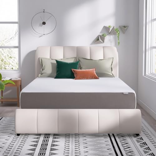Amazon Basics 12 Inch Memory Foam