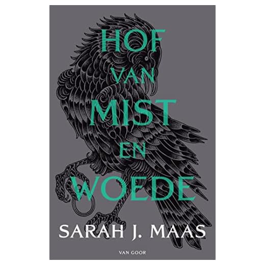 Hof van mist en woede (Hof van doorns en rozen Book 2)