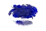 Longitud: aprox. 3 cm - 10 cm Plumas de gallina de 3 g aprox. 3 – 10 cm (azul 352 / azul real / azul real) // Pollo, plumas decorativas para manualidades