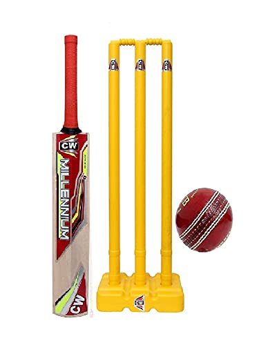 Kit de cricket pour entraînement complet pour progresser rapidement à la maison