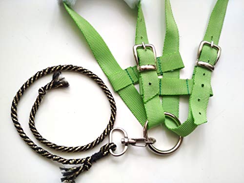 Green hobby horse halter | Halter for stick hobby horse | Hobby horse accessory