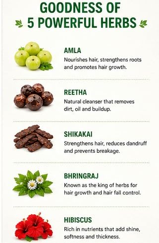 Image of Hibiscus, Reetha, Amla, Shikakai & Bhringraj Powder Combo for Hair Growth and Care, 100% Herbal Hair Pack (Combo of 5)