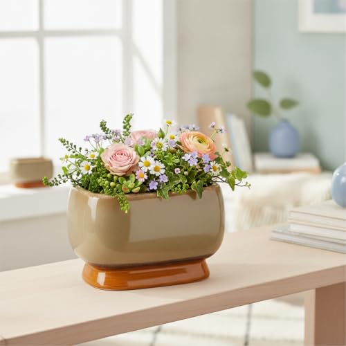Image of Xtore Elegant Dual-Tone Glazed Ceramic Bonsai Planter Pot| Wide Bowl Design with Drainage Hole for Succulents, Bonsai & Small Plants (Deep Brown Pack of 1, Planter Only)