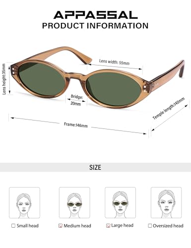 Retro Oval Polarized Sunglasses for Women Chic Cat Eye Trendy 90s Shades UV400 Protection AP3743