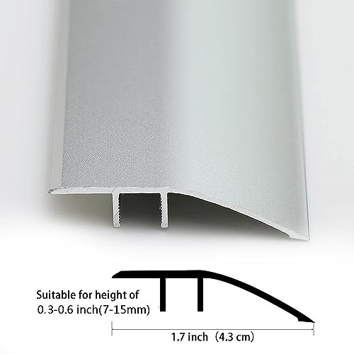 Interior Floor Transition Strip, Metal Edging Trim Strip, Small Thresholds Ramp for Doorways/Uneven Flooring/Wood to Tile, Flooring Reducer, Easy to Install (Color : Silver)