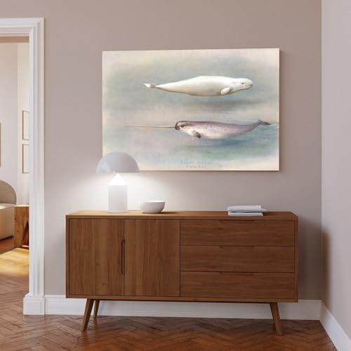Affiche narval et baleine blanche Archibald Thorburn | Toile 40x60cm - 6