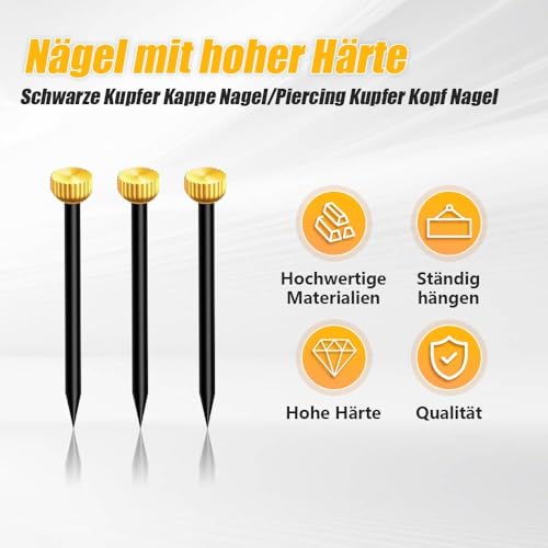 Dreamil Bildernägel 50 Stück Messing Bildaufhänger Set mit Aufbewahrungsbox Nägeln Haken Set für Bilderrahmen/Pinnwänden/Leinwand (Länge 2,5cm)