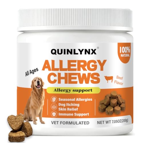 Quinlynx Allergy Chews for Dogs Dog Probiotics Yeast Support Itchy Skin & Ears Relief Hot Spots Support for All Breeds & Sizes 200g Soft Treats
