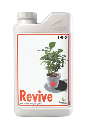 Revive - Image 3