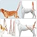 CORHAD Dog Walking Sling Portable Auxiliary Strap for Disabled Senior Dogs Hind Leg Support Harness for Rehabilitation Training