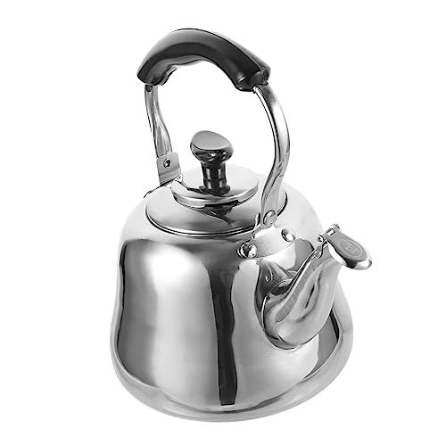 HOLIDYOYO Bouilloire en acier inoxydable 1 l avec sifflet et filtre Bouilloire domestique pour cuisinière à gaz et à induction Sans BPA Pour thé et café...