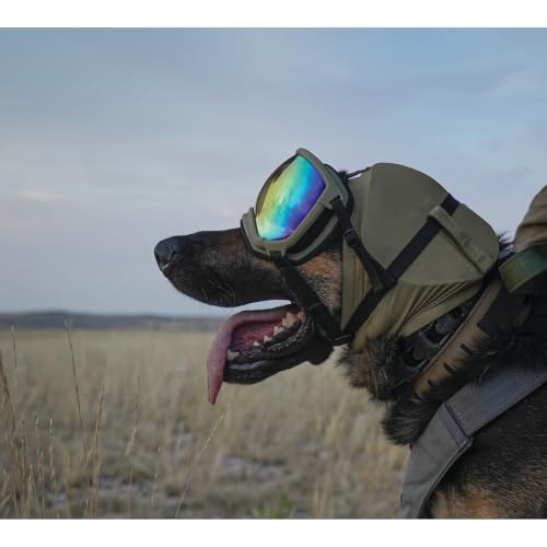 Image of Rex Specs Ear Pro | Noise Cancelling Ear Wraps for Dogs | Dog Ear Muffs Noise Protection