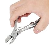 Fdit Schweinezahnschneider, Edelstahlfeder Schweinezahnzange Ferkelzahnschneider Viehzahnzange 5,5 Zoll lang