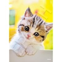 Amazon | エポック社（EPOCH） 108ピース ジグソーパズル