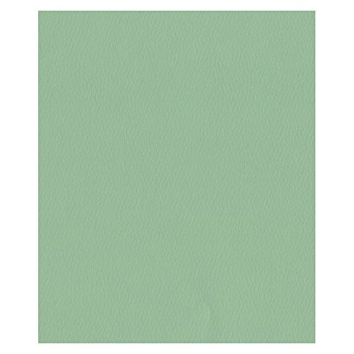 エスケント 色画用紙 スターウェーブ 四切 クローバー 50枚 5504811