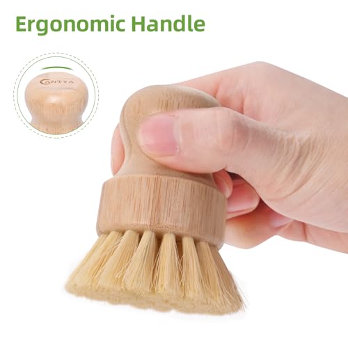 Image of 6 Packs Bamboo Scrub Brush - Soft Bristle Natural Dish Brush Compostable Bamboo Dish Scrubber for Dishes Pans Grills and Stoves