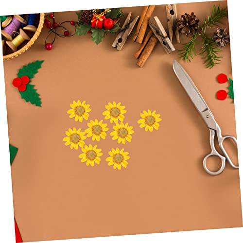 Flores Secas Margaritas 24 Piezas para Manualidades DIY miniatura 5