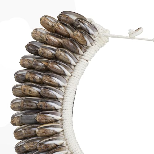 Escultura decorativa Shell con base, 12x6x15 pulg miniatura 5