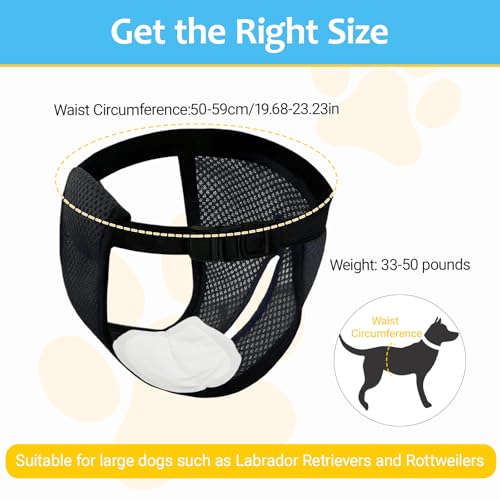 3er-Pack LäUfigkeitshose FüR HüNdinnen,HöSchen FüR Hunde LäUfigkeit, Mit 10 Damenbinden, Verstellbare Taille, Geeignet FüR LäUfige HüNdinnen, Schwarz XL