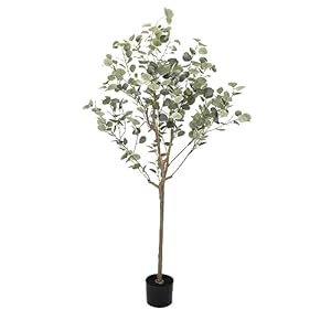 Erlandens 6FT Artificial Eucalyptus Tree 71in Modern Fake Plant Silk Faux Eucalyptus Silver Dollar Leaves in Pot for Outdoor Indoor Office Housewares Living Room Wedding Decor