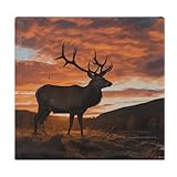 Composé de mousse à mémoire de forme de haute qualité, ce coussin s'adapte à la forme de votre corps, soulageant les points de pression.