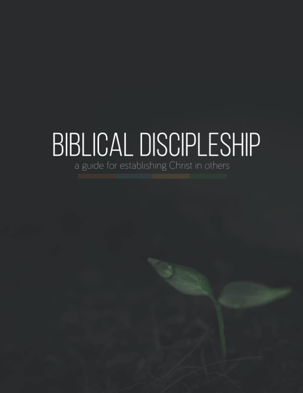 Biblical Discipleship