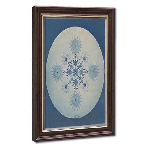 Cyanotype antique de diatomées à offrir en cadeau idéal pour passionné de science