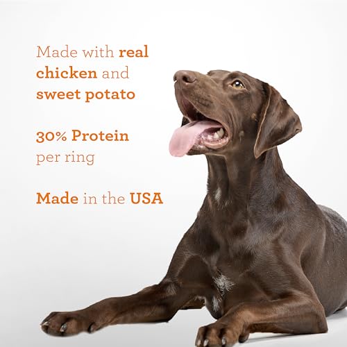DreamBone Protein Rings with Real Chicken & Sweet Potato, 119 g, Rawhide-Free Protein Ring Chews, Artificial Free, for All Dogs - Image 6